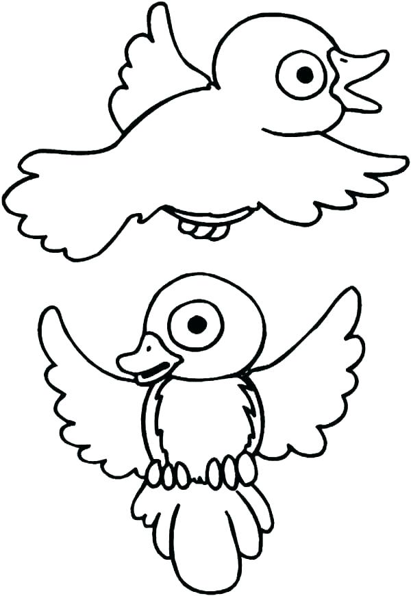 600x870 Bird Coloring Big Bird Coloring Page Big Bird Coloring Pages