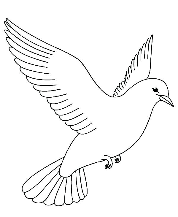600x731 Bird Coloring Pages More Images Of Free Coloring Pages Birds Big