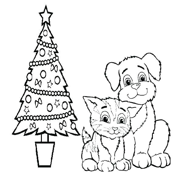600x600 Big Cats Coloring Pages Big Cat Coloring Pages Warrior Cats