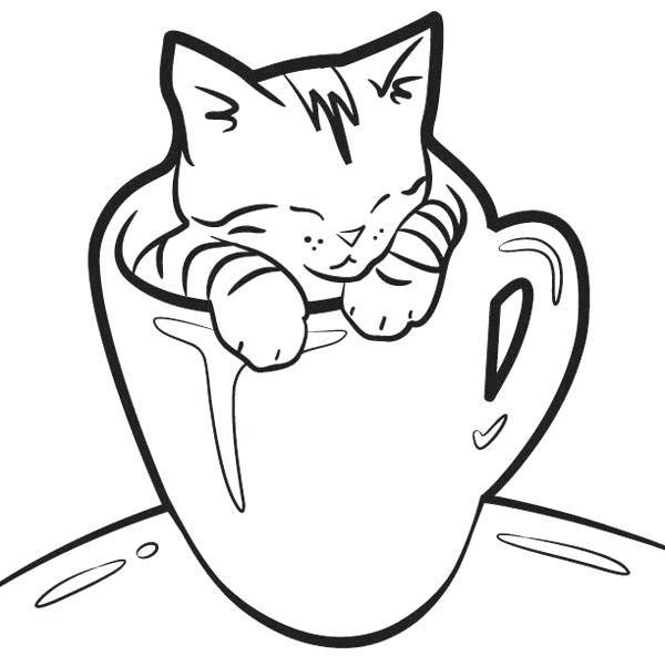 600x592 Cat Coloring Page Kitten Coloring Pages In A Cup Realistic Big Cat