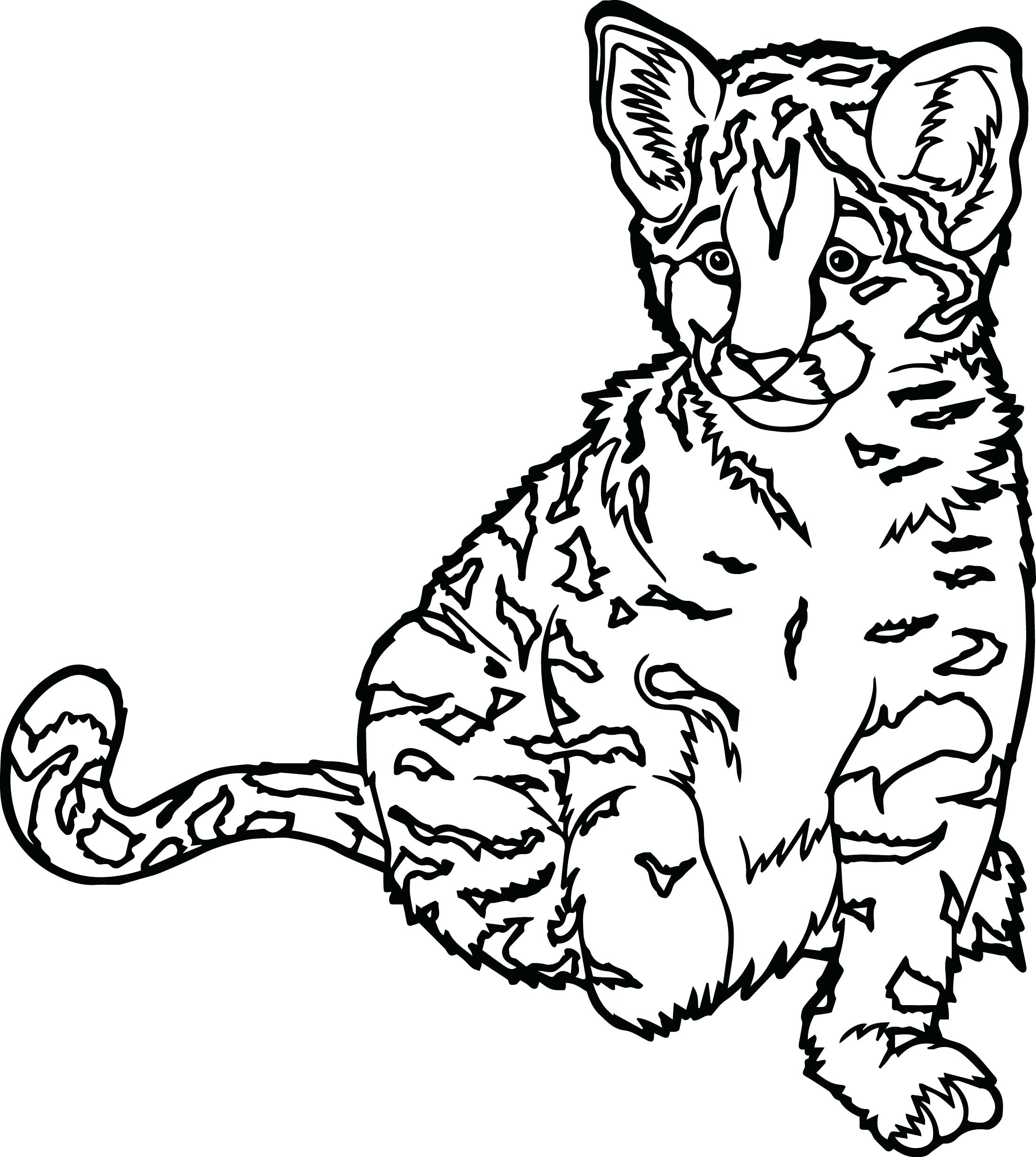 2203x2461 Inspiration Big Cat Coloring Pages