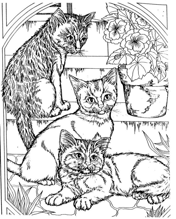 Big Coloring Pages For Adults
