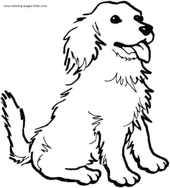 590x655 Coloring Pages Animals Big Coloring Pages Of Animals Animal