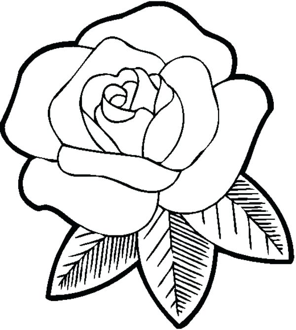 600x670 Elegant Big Coloring Pages For Big Beautiful Rose Coloring Page 73