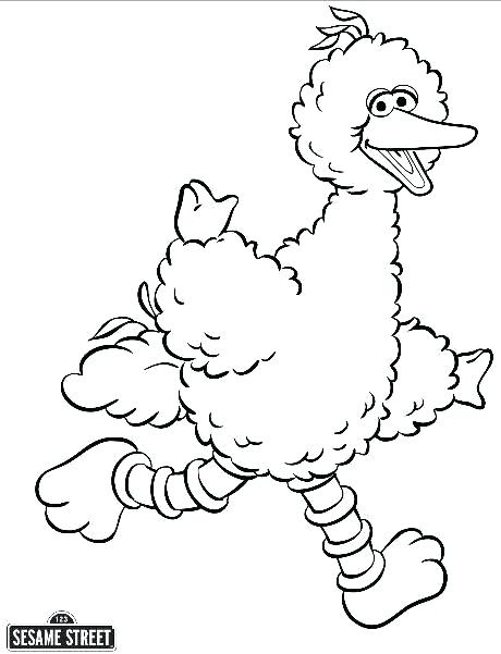 460x601 Big Bird Printable Coloring Pages Vanda