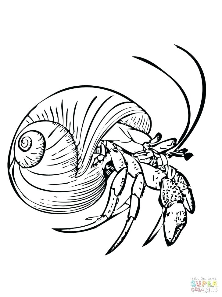 728x971 Eyeball Coloring Page Coloring Pages Eye Page Eyes Cartoon Free