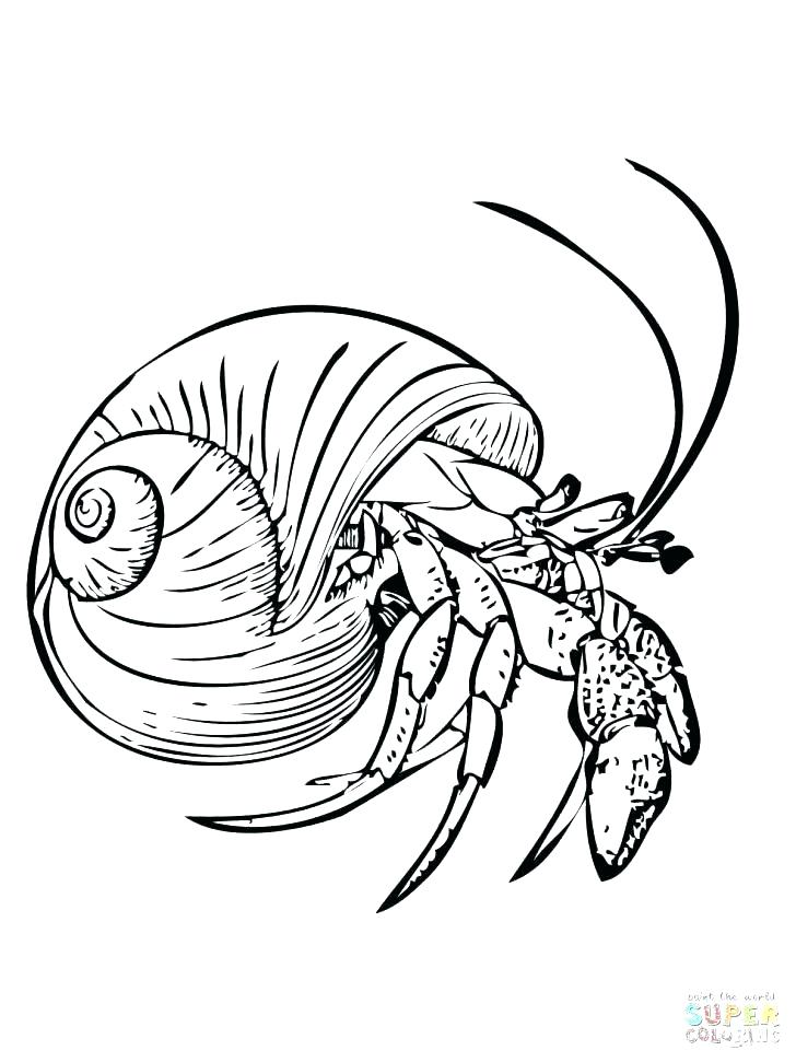 728x971 Eyes Coloring Pages Coloring Pages Stock Eye Coloring Pages Cute
