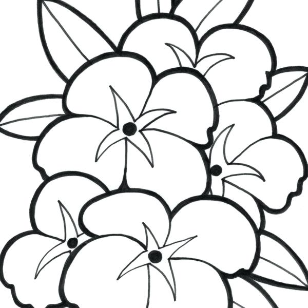 600x600 Cute Flower Coloring Pages Big Flower Coloring Pages Cute Flower