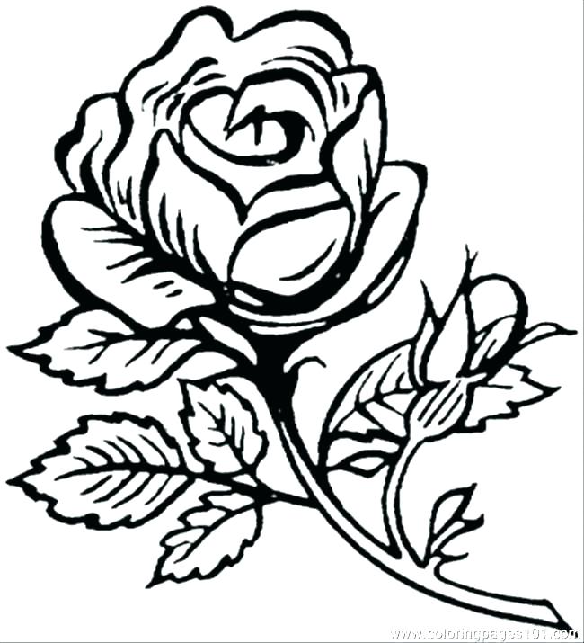 650x715 Flowers Colouring Pages Printable Big Flower Coloring
