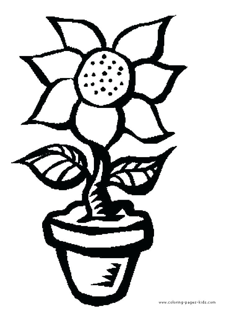 726x1000 Large Flower Coloring Pages Perfect Flower Color Pages About Large
