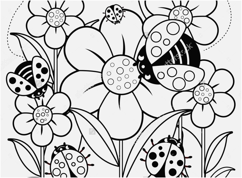 827x609 The Ideal Stock Coloring Pictures Of Flowers Most Popular