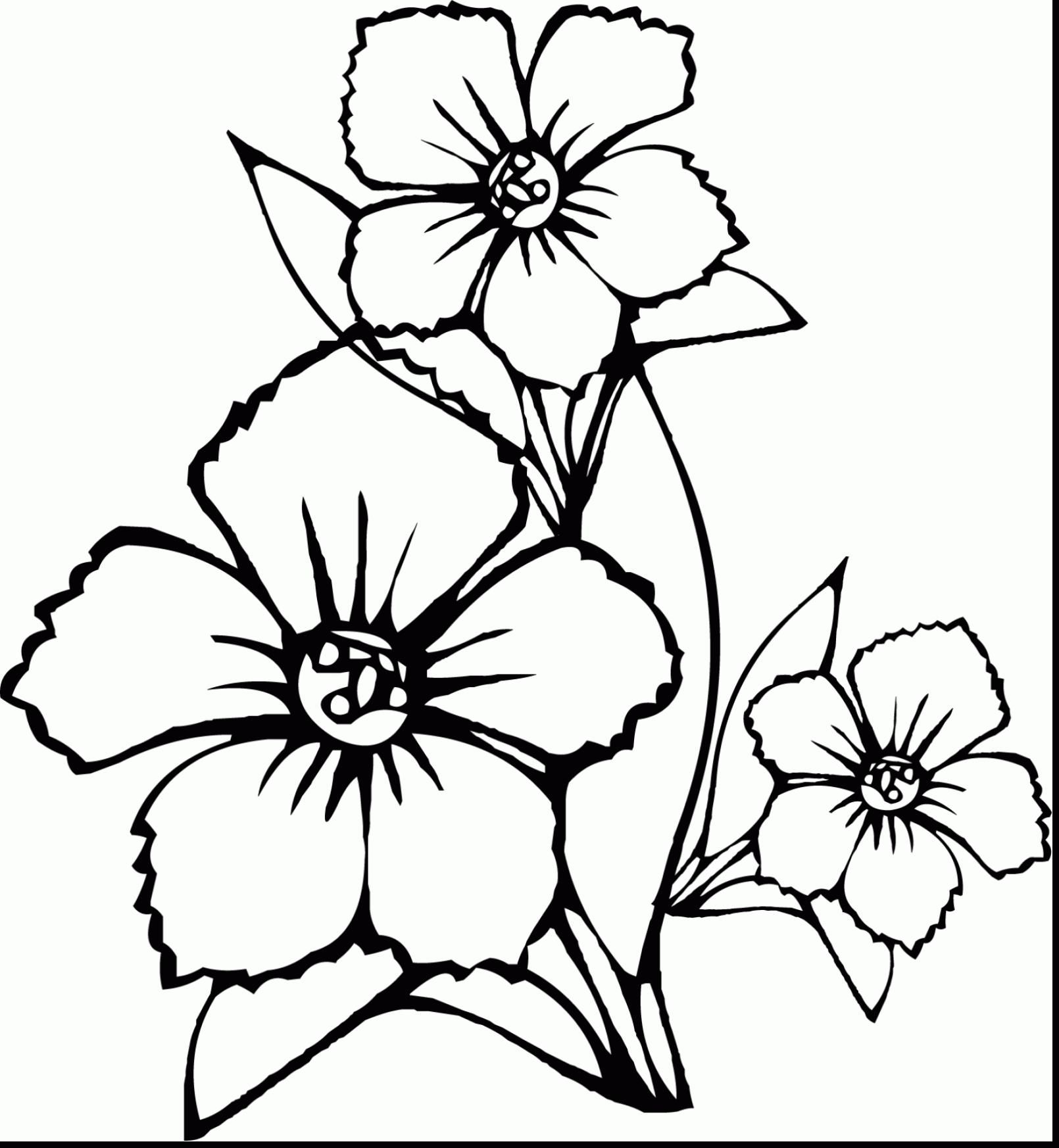 1610x1746 Big Flower Coloring Pages Coloring Page Fun