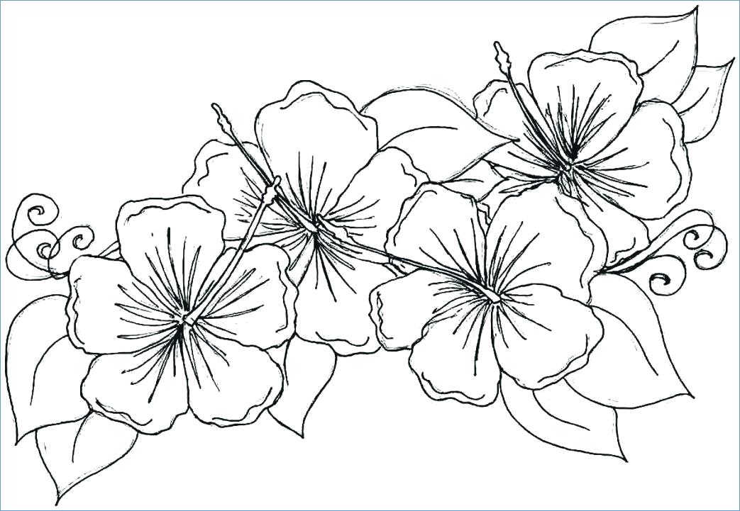 1043x721 Big Flower Coloring Pages Coloring Pages Flowersnd Hearts In