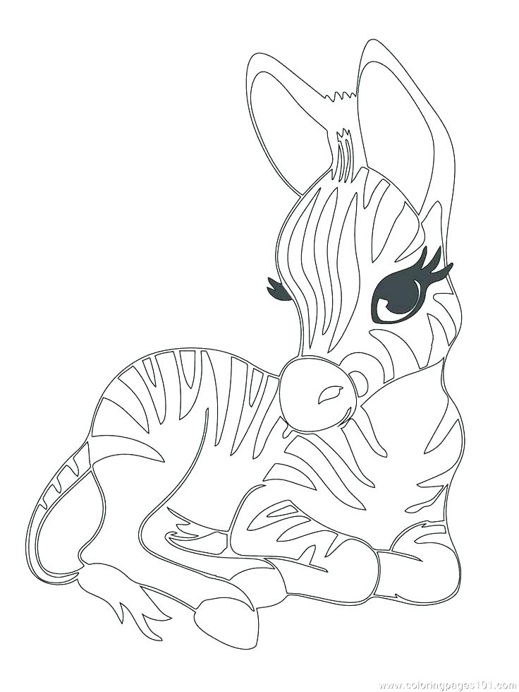 736x980 Cute Sea Animal Coloring Pages Coloring Pages To Print Of Animals