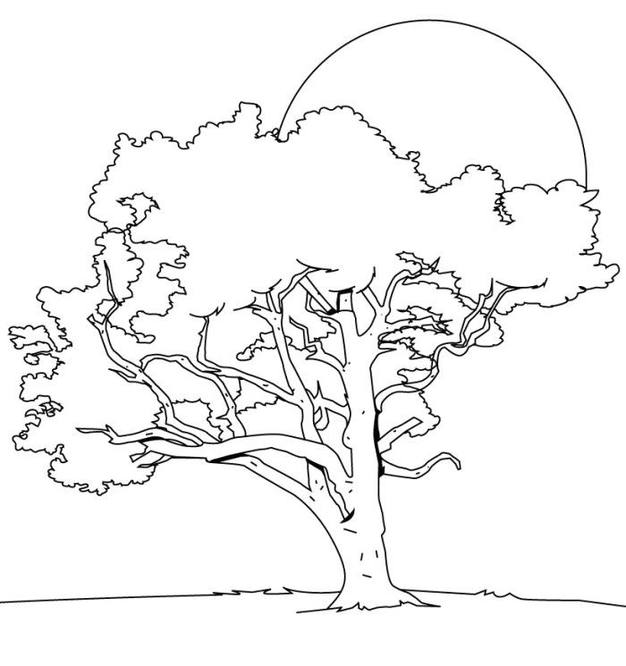 700x745 Under The Tree Draw Or Write Words Or Phases To Express What Is