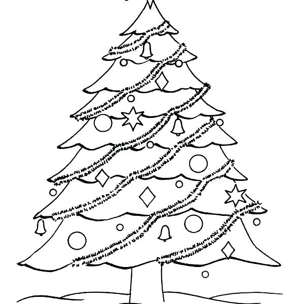 590x600 Christmas Tree Coloring Page