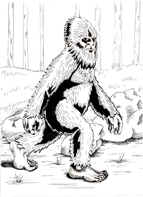 500x688 Coloring Pages