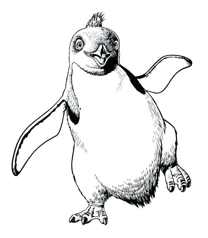 700x800 Foot Coloring Page Happy Feet Coloring Pages Printable Free