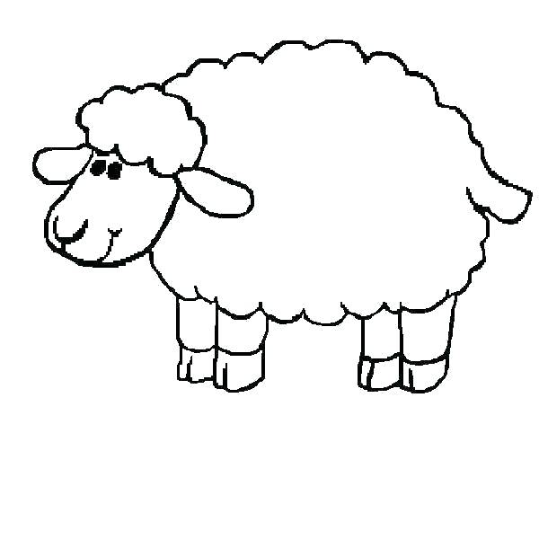 600x600 Sheep Color Page Coloring Pages Of Sheep Number 2 Coloring Pages