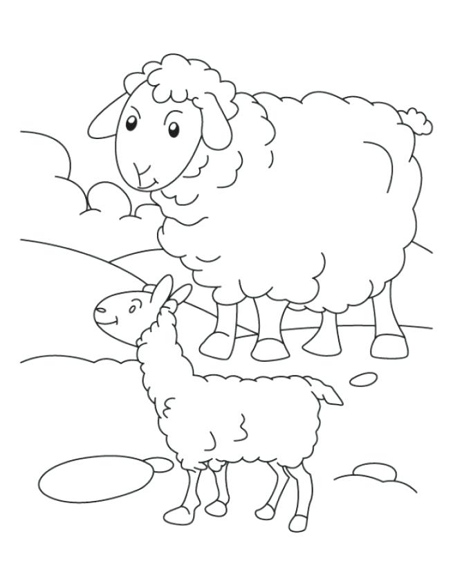 655x847 Sheep Coloring Pages Bighorn Sheep Coloring Pages