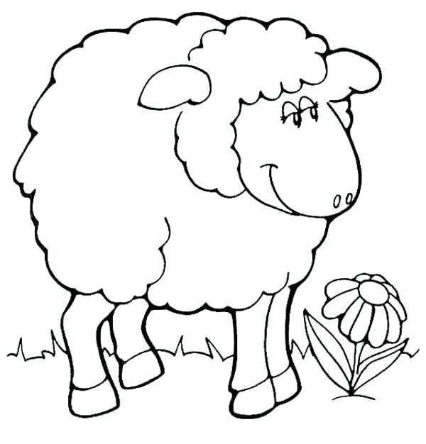 600x626 Sheep Coloring Pages The Sheep Image Coloring Page Bighorn Sheep