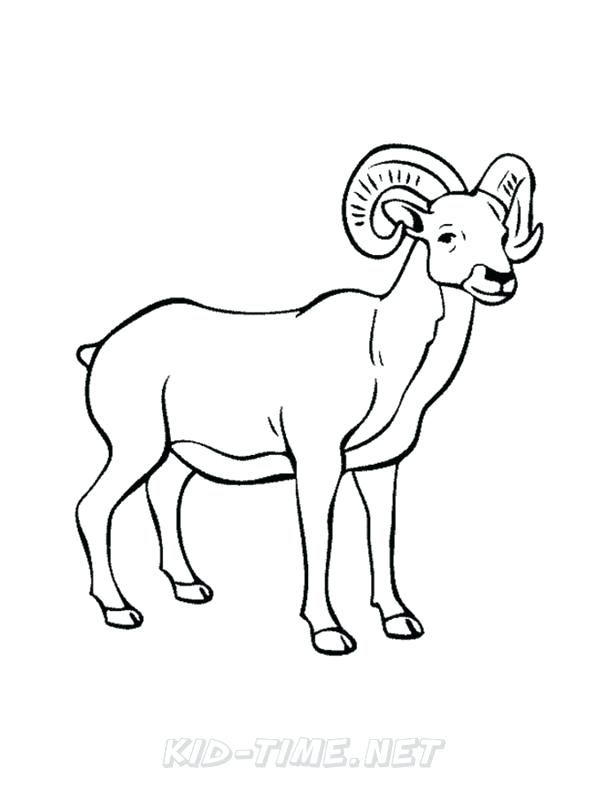 612x792 Bighorn Sheep Ram Coloring Pages Kids Time Free Coloring Bighorn