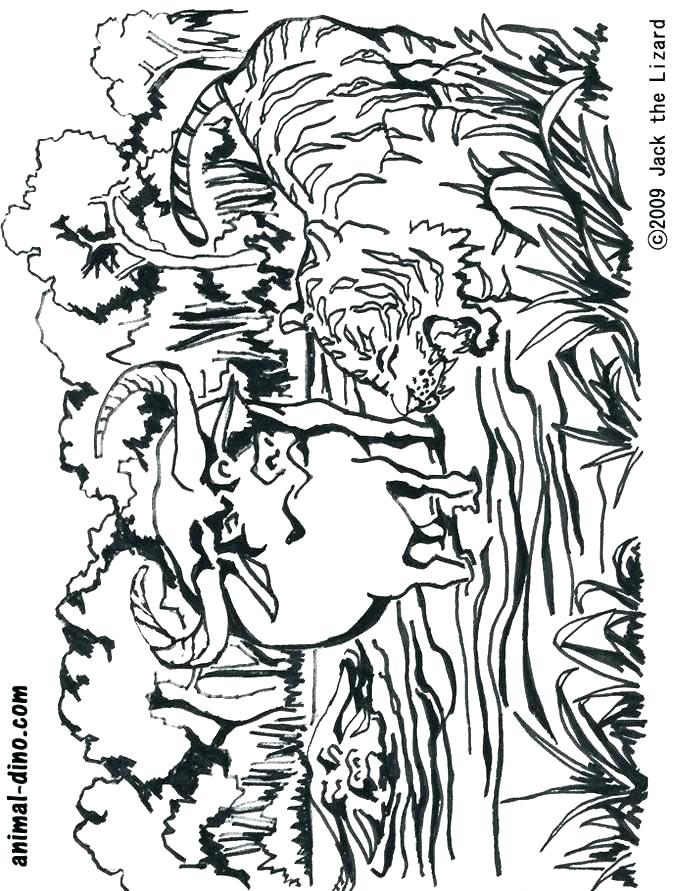 673x891 Buffalo Bills Helmet Coloring Page Pages Drawings Bill