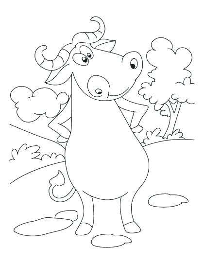 420x543 Buffalo Bills Coloring Pages Buffalo Coloring Pages Here Are