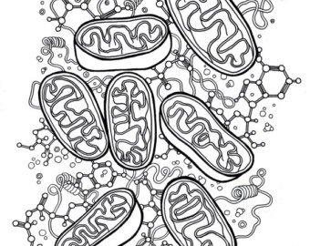 340x270 Biology Coloring Pages Fresh Coloring Page Coloring Pages