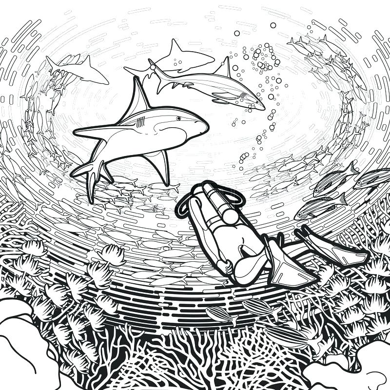 800x800 Biology Coloring Pages Marine Biology Coloring Book Together