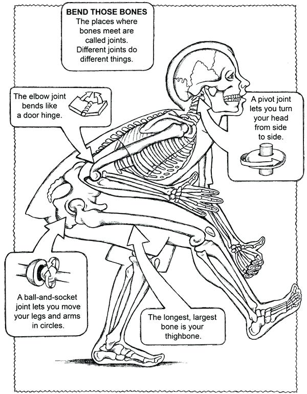 600x770 Biology Coloring Pages Printable Cell Phone Coloring Pages