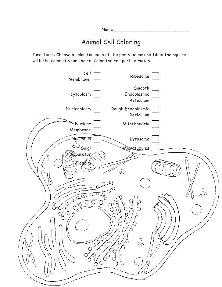 728x942 Biology Coloring Pages X Marine Biologist Coloring Page Biology