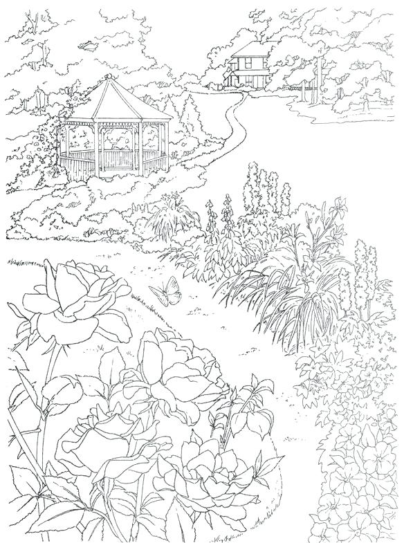 584x785 Human Cell Coloring Pages Biology Coloring Book Biology Coloring
