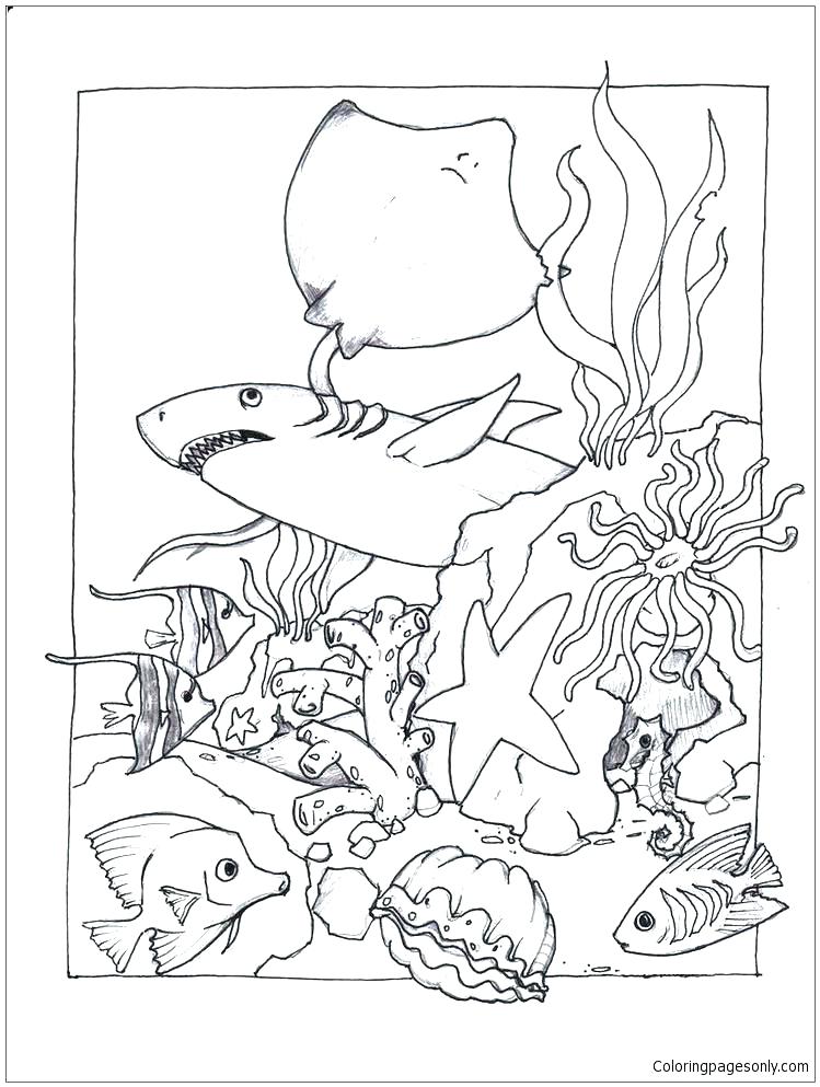 749x993 Biology Coloring Pages Biology Coloring Science Coloring Pages