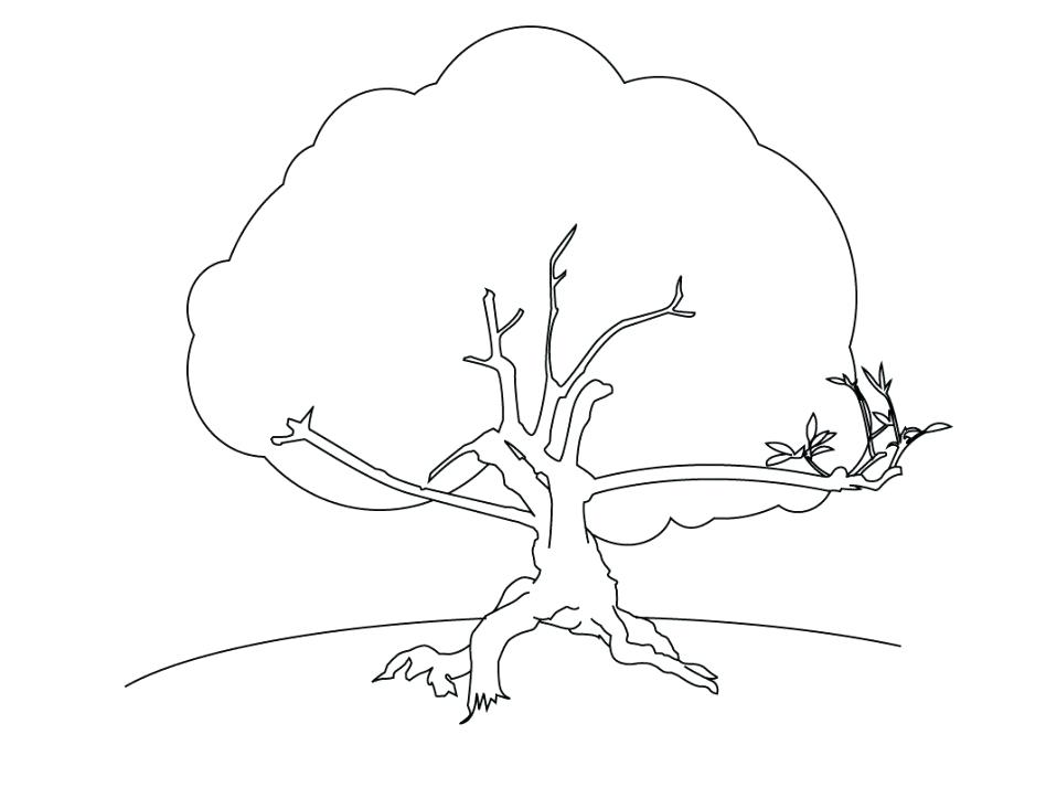 948x733 Drawing At Free For Personal Use Drawing Ohio State Tree Coloring