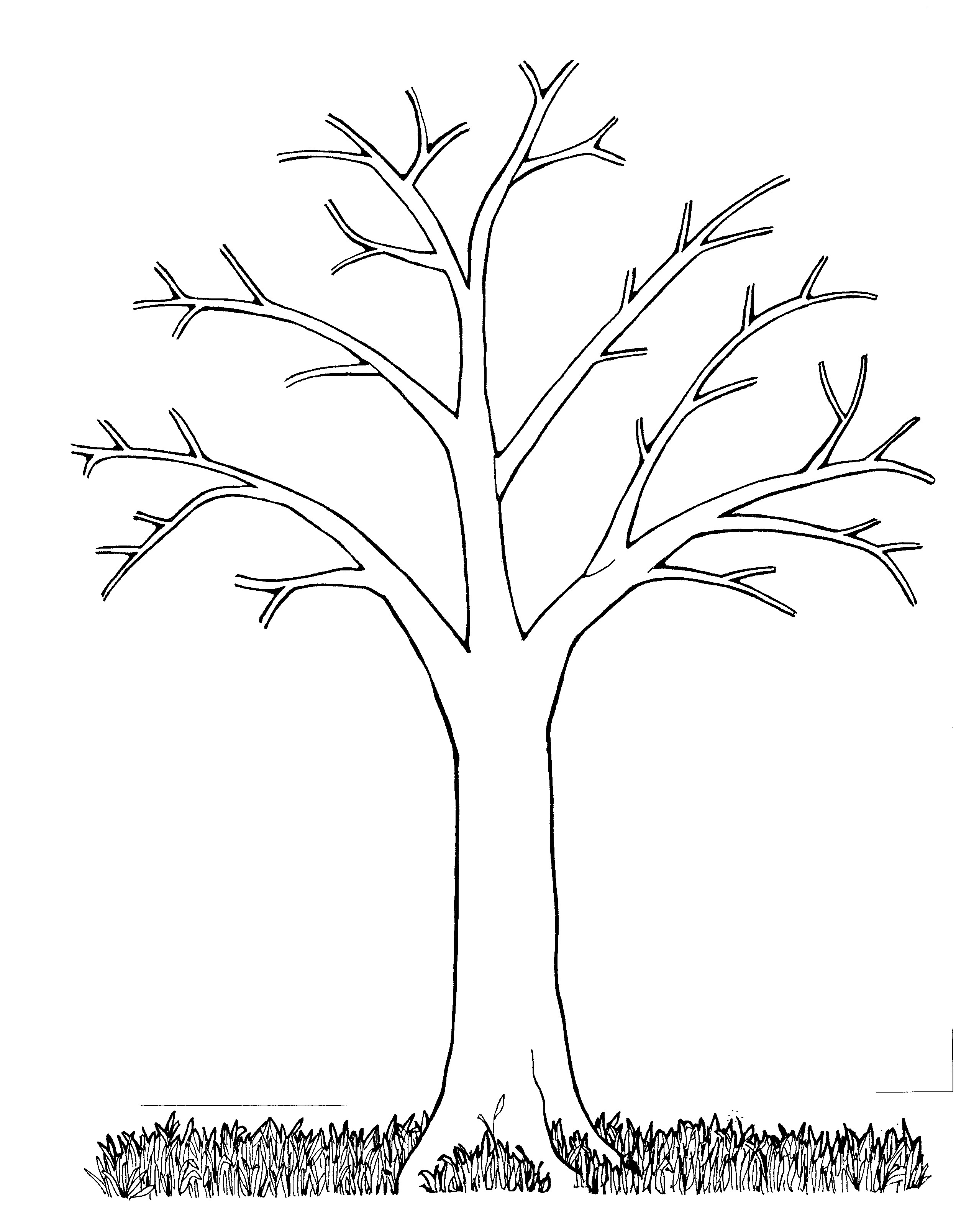 2495x3216 Selected Printable Pictures Of Trees Free Tree Coloring Pages