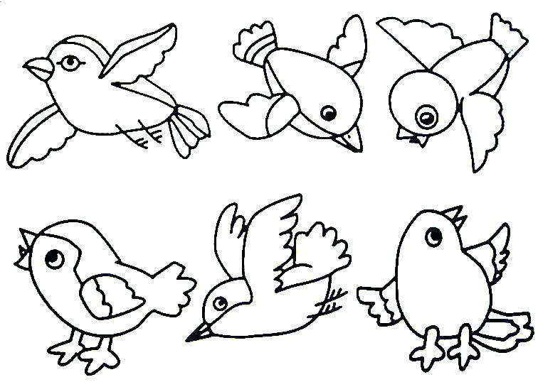 756x538 Coloring Pagesbird Best Bird Coloring Pages Ideas On Bird By Bird