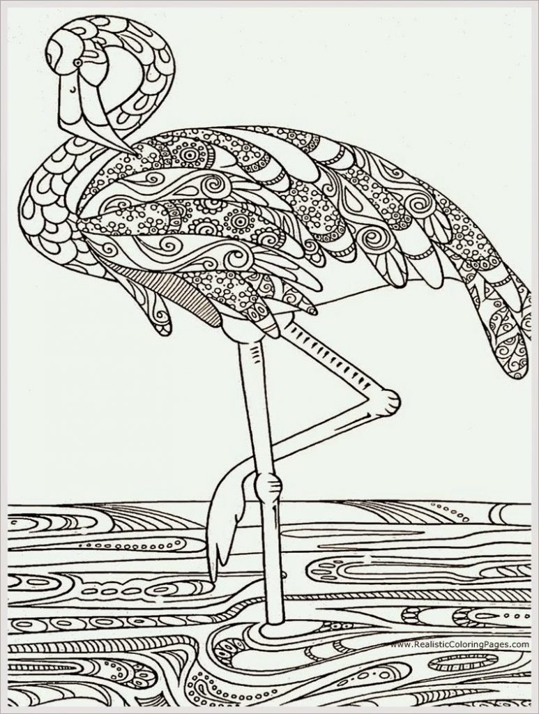 773x1024 Free Adult Coloring Sheets Heron Bird Adult Coloring Pages Free