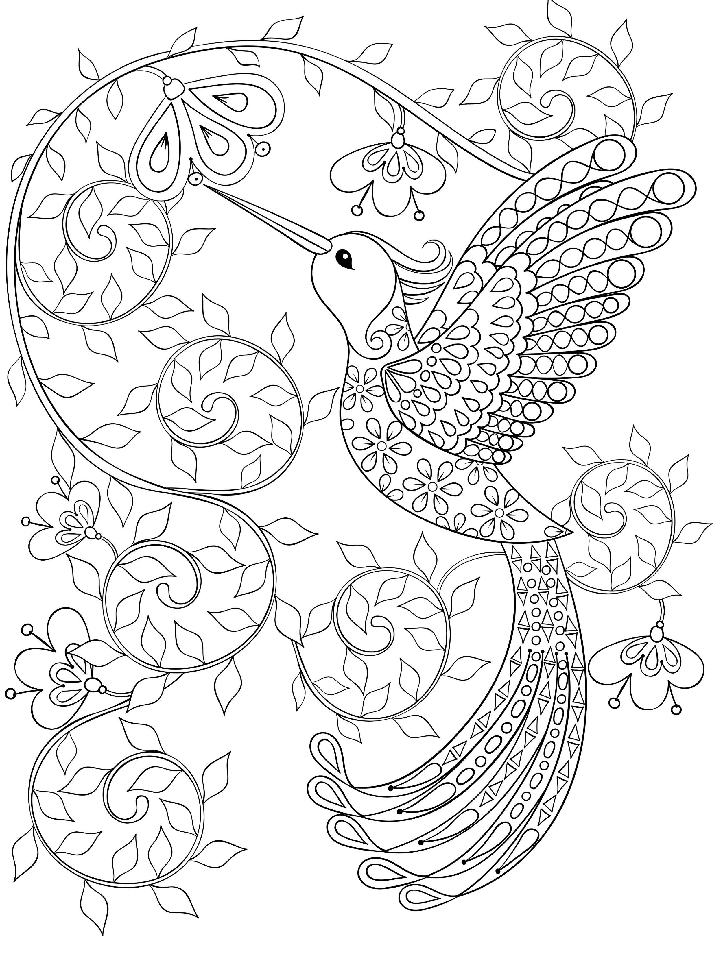 2500x3300 Hummingbird Coloring Pages For Adults, Free Dwonloadable Color