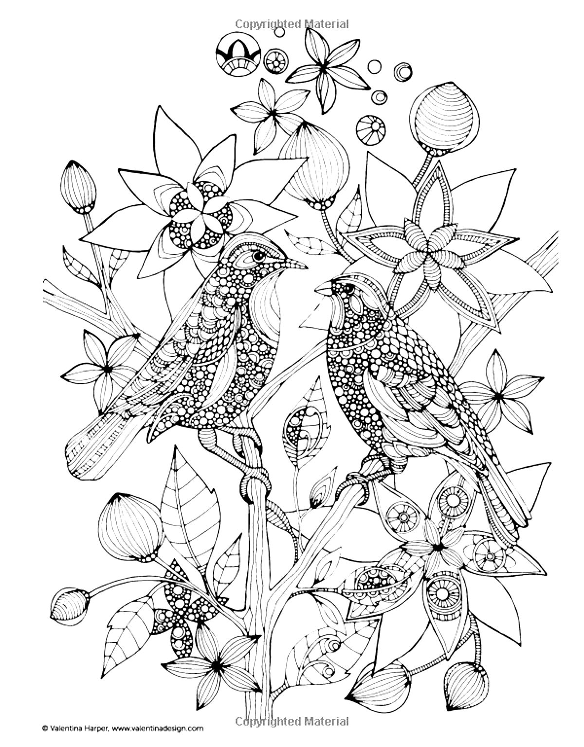 1200x1536 Two Birds