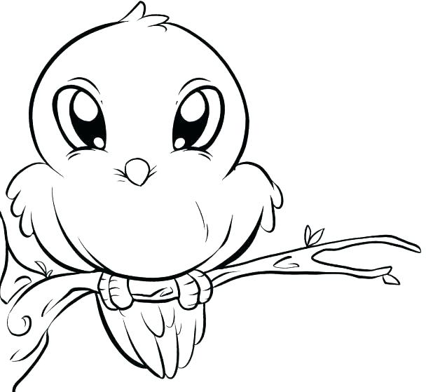 618x559 Bird Picture Also Cute Bird Cute Bird Coloring Page Free Coloring