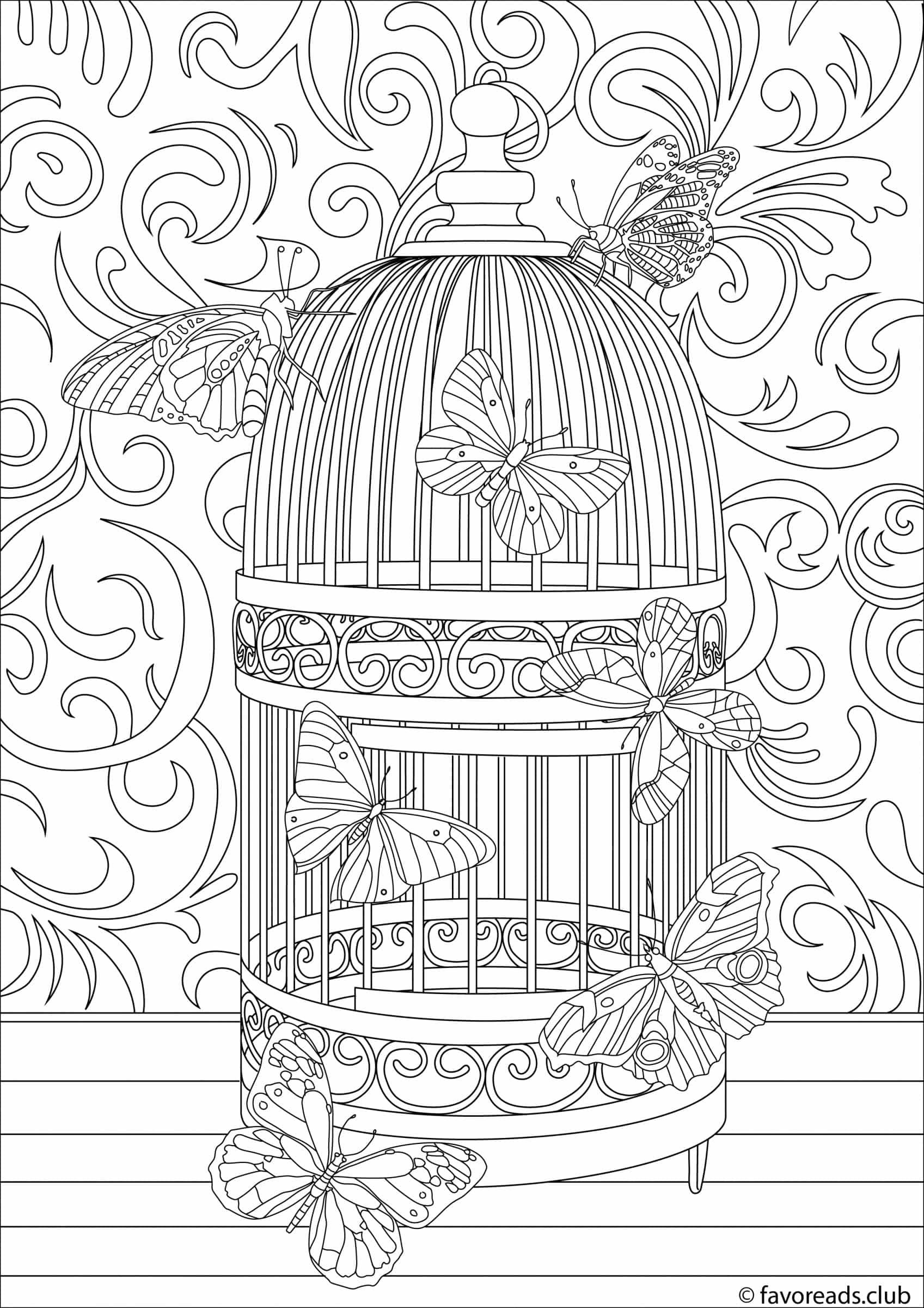 1697x2400 Birdcage Coloring Page Favoreads Coloring Pages For Adults