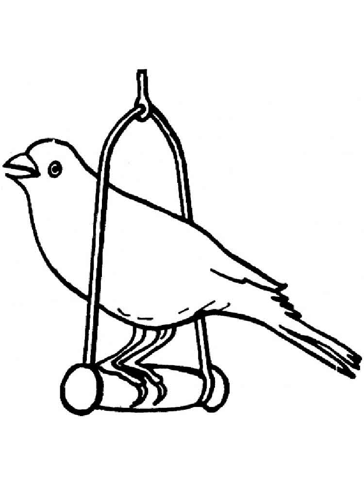 750x1000 Canary Coloring Pages. Download And Print Canary Coloring Pages