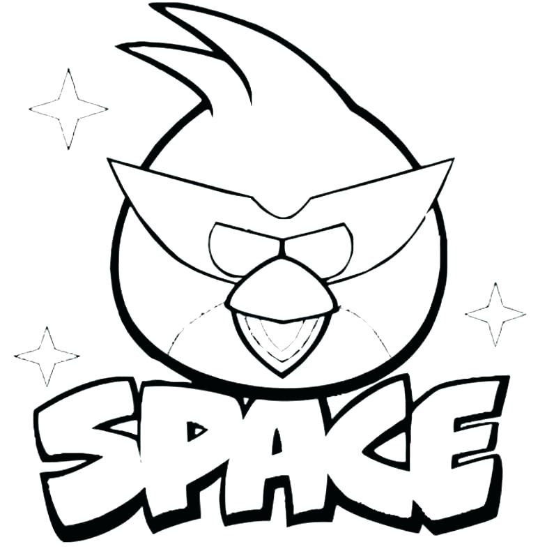 795x800 Coloring Page Of A Bird Birds Ruby Hummingbird Bird Coloring Page