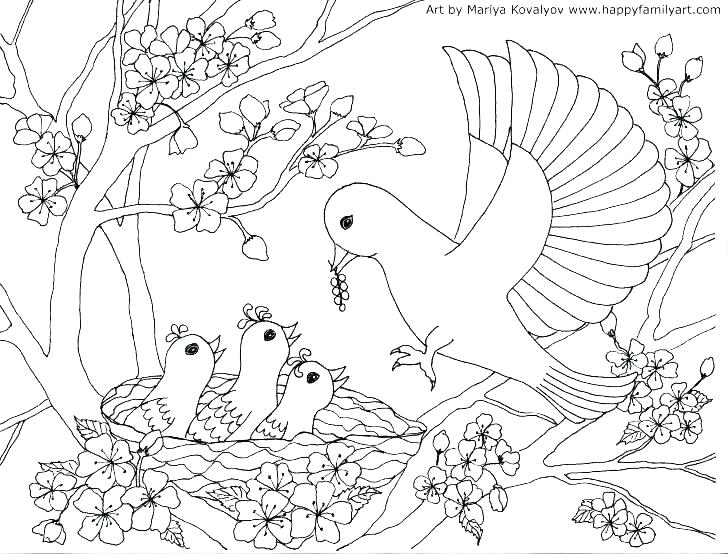 728x554 Coloring Page Of Birds Coloring Pages Birds Baby Bird Coloring