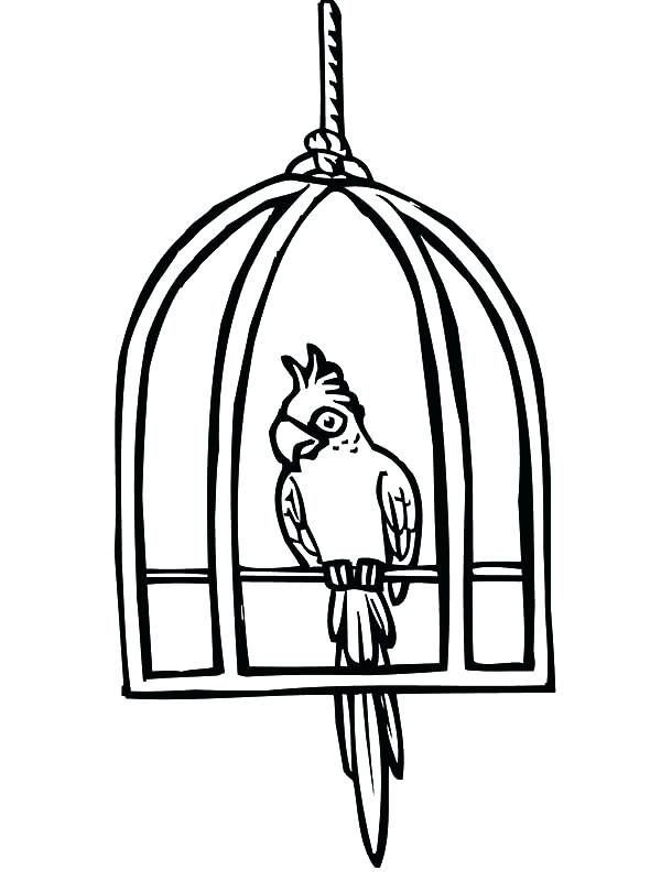 600x800 Cute Bird Cages Parrot Cute Bird Cage Coloring Pages Cute Pet Bird
