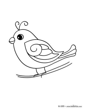 364x470 Cute Bird Coloring Pages Cute Bird Coloring Pages Hellokids