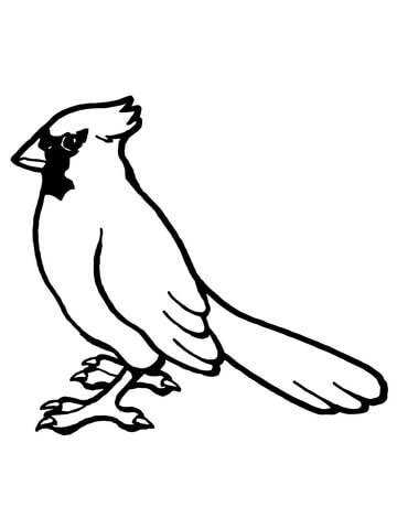 360x480 Printable Bird Coloring Pages
