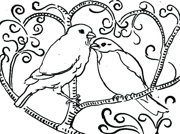 600x446 Bird Coloring Page
