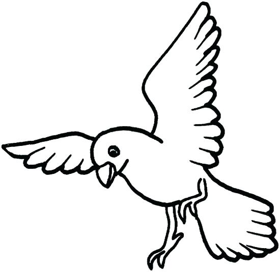 550x535 Bird Coloring Pages For Preschoolers Bird Coloring Pages Bird